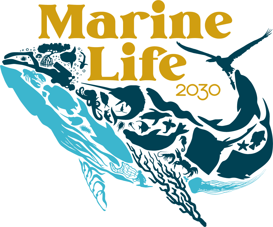 marine life logos